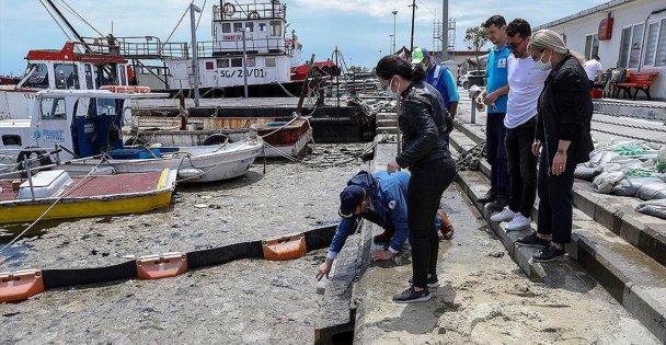 İstanbul Üniversitesi, müsilajı temizlemek için deniz bakterilerini kullanacak