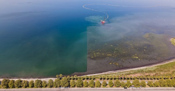 İzmit Körfezi, Maldivler'e benzemeye başlamış