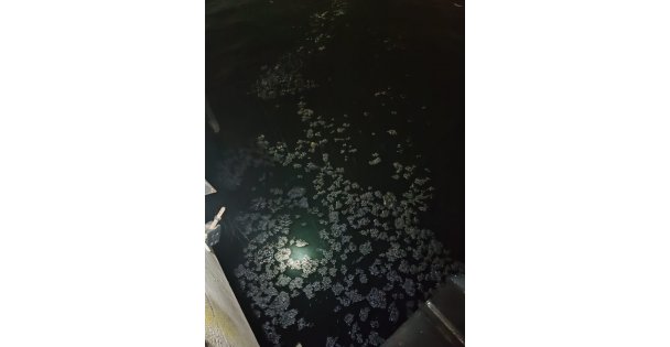 İzmit Körfezi'ni kirleten gemiye  2 milyon 380 bin 118 lira ceza kesildi