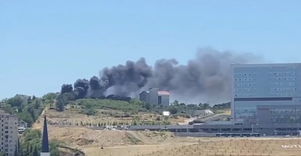 İzmit'te ağaçlık alan yangını: Dumanlar birçok yerden görüldü