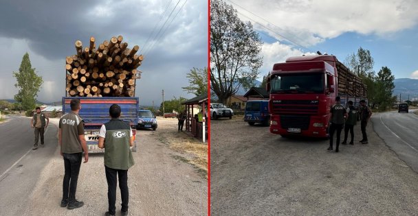 Kaçak orman emvaline geçit yok