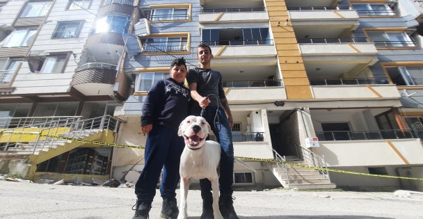 Kahraman köpek 'Dora', deprem anında kendisini siper ederek sahiplerini korudu (VİDEOLU HABER)