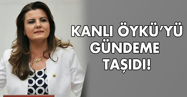 ‘Kanlı Öykü Festivali' meclis gündeminde