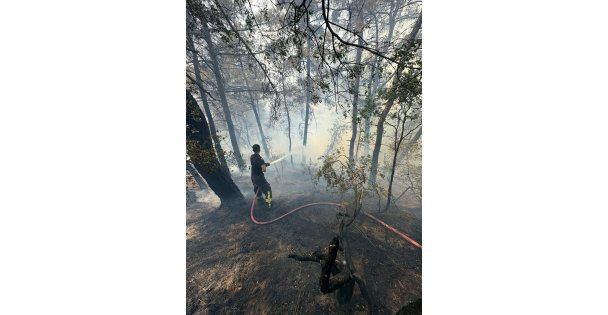 Karamürsel'de soğutma çalışmaları devam ediyor