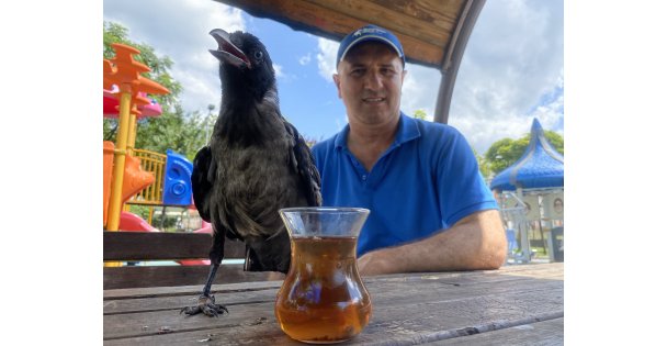 Karga, Rize Çayı Dışında Bir Şey İçmiyor