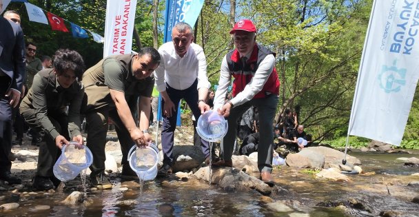 Kirazdere'ye 2 yılda 16 bin alabalık salındı
