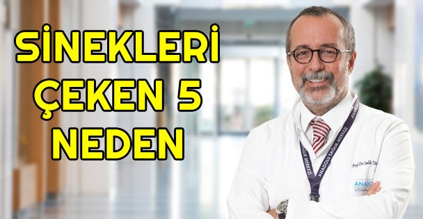 Kırmızı ve koyu renk sinekleri çekiyor