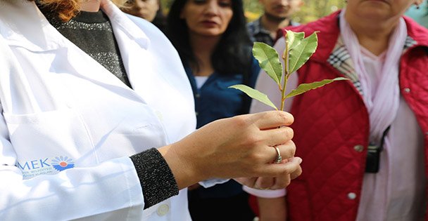 KO-MEK'ten Tıbbi Aromatik Bitki Yetiştiriciliğine tam destek