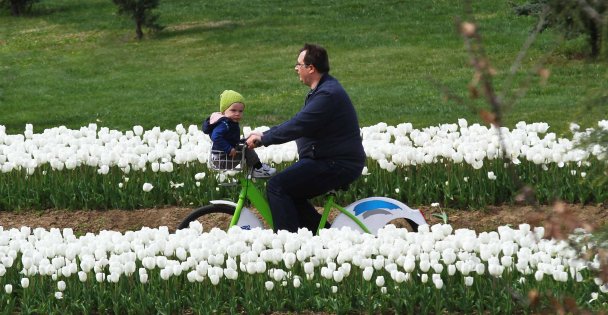 KOBİS ile 179 bin vatandaş yazın tadını çıkardı