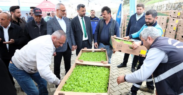Kocaeli Büyükşehir'le tarlalar bereketleniyor;  Gebzeli çiftçiye 500 bin sebze fidesi
