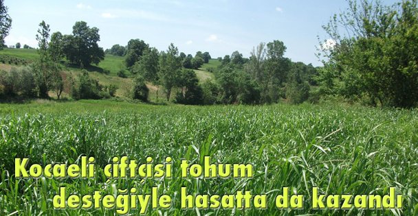 Kocaeli çiftçisi tohum desteğiyle hasatta da kazandı