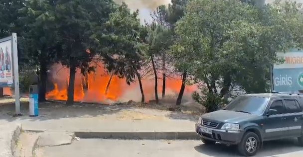 Kocaeli'de ağaçlık alanda yangın çıktı, 4 kişi dumandan etkilendi