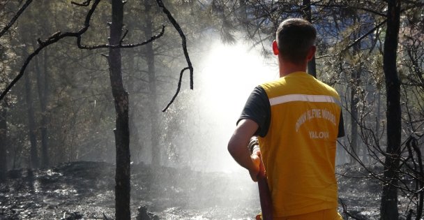 Kocaeli'de çıkan orman yangını söndürüldü