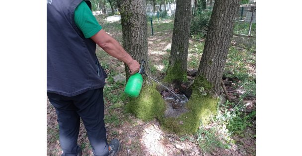 Kocaeli'de dört mevsim sivrisineğe geçit yok