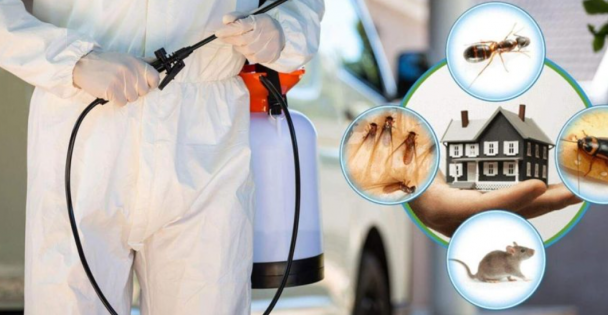 Kocaeli'de Hizmet Veren Prometh Böcek İlaçlama Firması ile Sağlıklı Yaşam Alanları