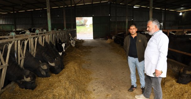 Kocaeli'de manda sayısı Büyükşehir'in desteğiyle artıyor