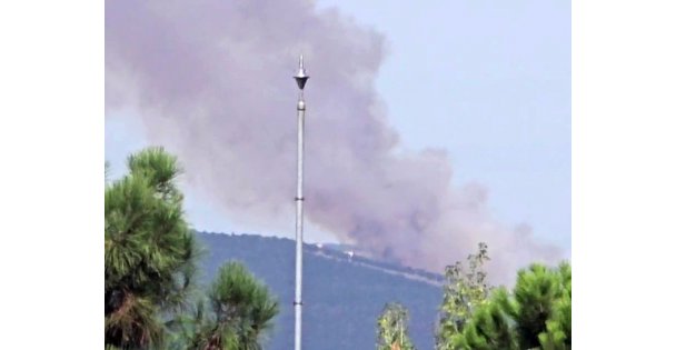 Kocaeli'de ormanlık alanda yangın çıktı