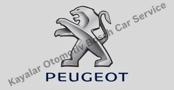 Kocaeli'de Peugeot Araç Sahipleri İçin Profesyonel Servis Deneyimi