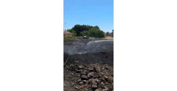 Kocaeli'de tarım arazisinde yangın çıktı