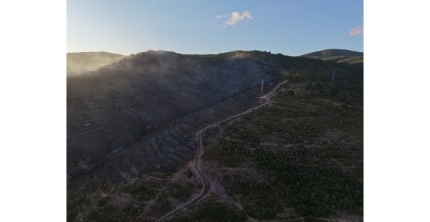 Kocaeli'deki orman yangını söndürüldü