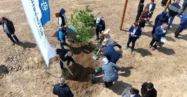 Kocaeli'nde binlerce fidan toprakla buluştu
