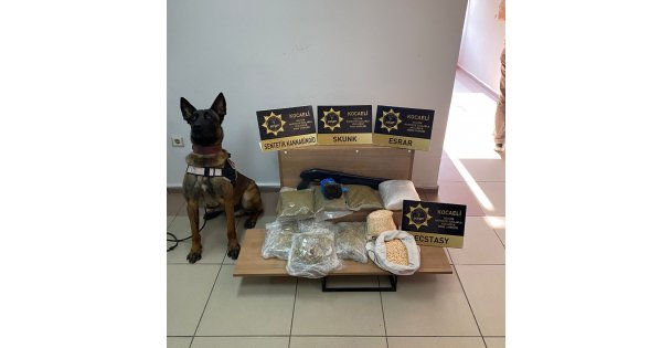 Kocaeli'nde uyuşturucu operasyonu: 9 bin 900 ecstasy hap ele geçirildi