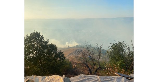 Kocaeli'nin farklı noktalarında aynı anda çıkan yangınlara müdahale sürüyor