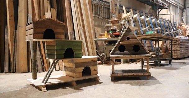 Kocaeli'nin kedi ve kuşları üşümesin