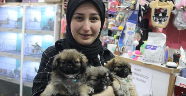 Köpekle önce ilgilendi sonra peşine takıp çaldı