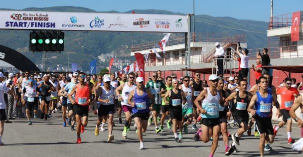 Körfez'de 'Kiraz Koşusu' heyecanı