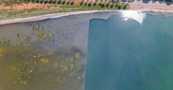 Körfez'de mavi dönüşüm