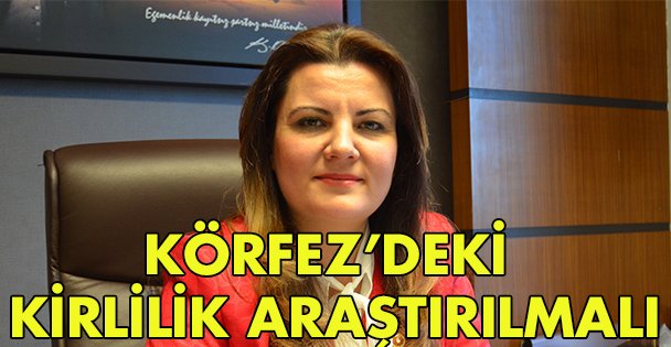 Körfez'deki kirlilik araştırılmalı