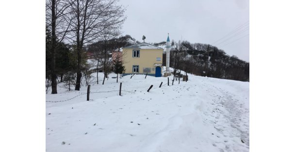 Köyümden kış manzaraları