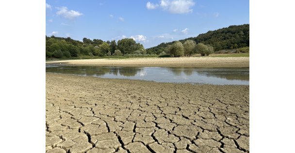 Kuraklık Göleti Vurdu, Yüzlerce Balık Telef Oldu