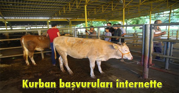 Kurban başvuruları internette