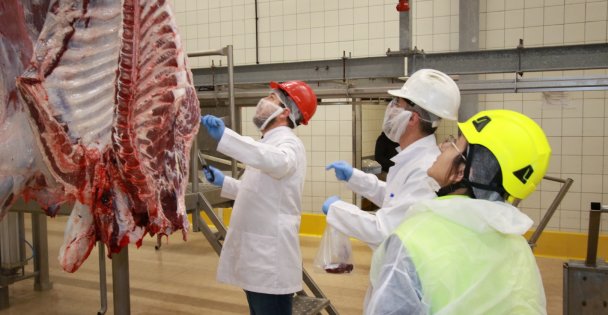 Kurban kesim başvuruları 15 Mayıs'ta başlıyor