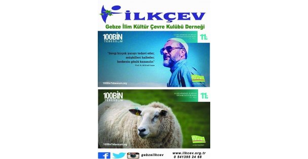 Kurban organizasyonu