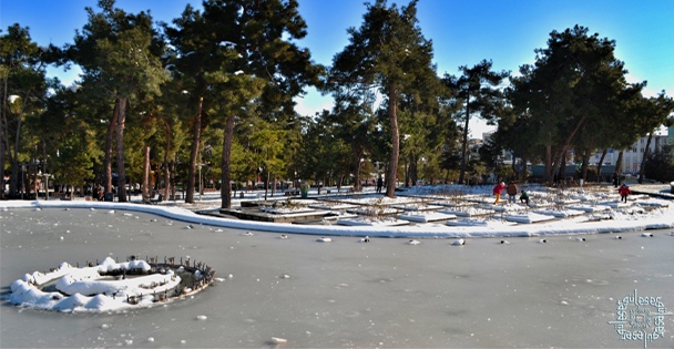 Küresel Isınmanın Etkileri