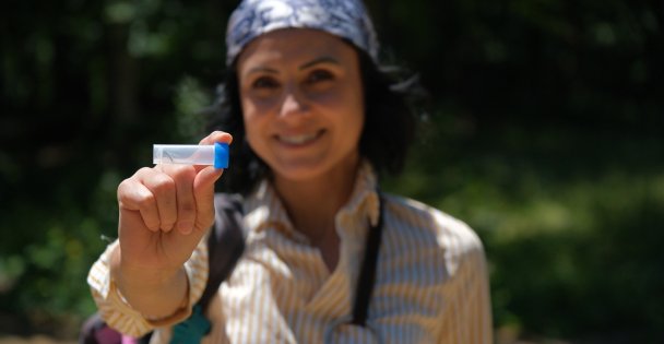 Kuzuyayla'da biyoçeşitlilik haritası çıkarıldı