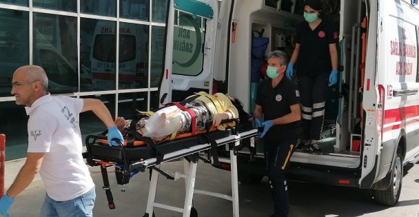 Meyve toplamak için çıktığı ağaçtan düşen kadın yaralandı