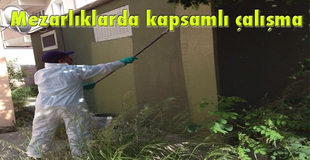Mezarlıklarda kapsamlı çalışma