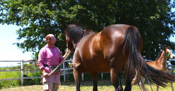 Milyonluk atları büyüttü, yarışlarını nefesini tutup izliyor