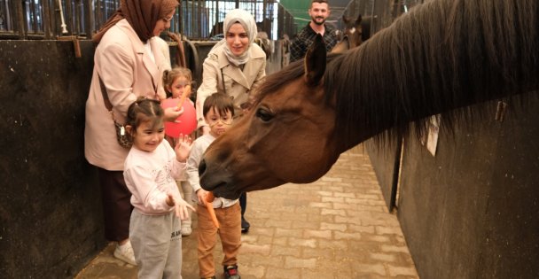 Minikler, Hayvanları Koruma Günü'nde atlarla buluştu