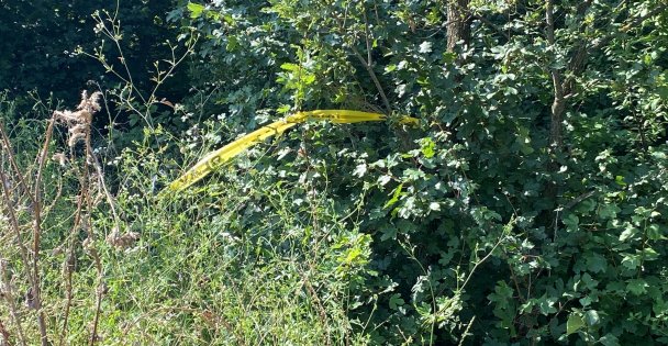 Nişanlısına Küfür Ettiği İddiasıyla Komşusunu Öldüren Sanığa Müebbet Hapis