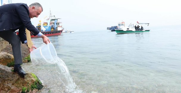 Ölümün kıyısından yeniden dirilişe