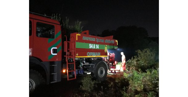 Ormanlık alanda çıkan yangın ekipleri seferber etti