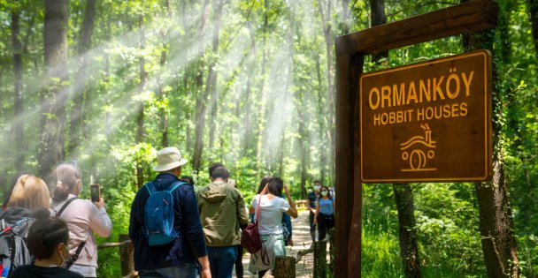 Ormanya'da yaz hazırlıkları tamam