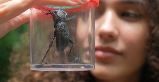 Ormanya'nın Zengin Biyoçeşitliliği Kayıt Altına Alındı