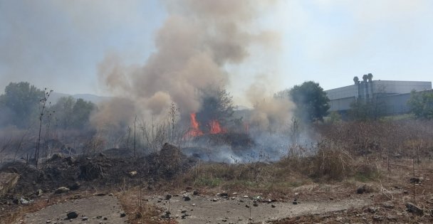 Otluk alanda çıkan yangın 1,5 saatte söndürüldü