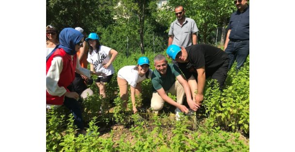 Özel çocuklar sebze ve aromatik bitki yetiştiriyor